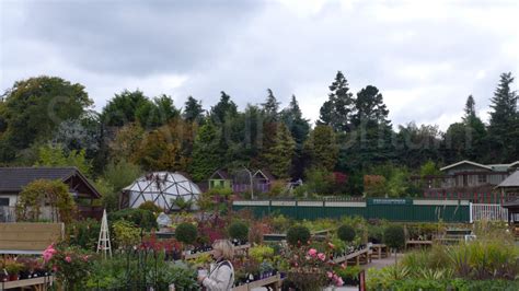 arboretum kilquade reviews|National Garden Exhibition Centre